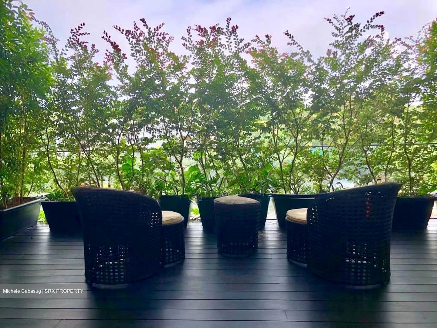 8 Napier (D10), Condominium #554729201
